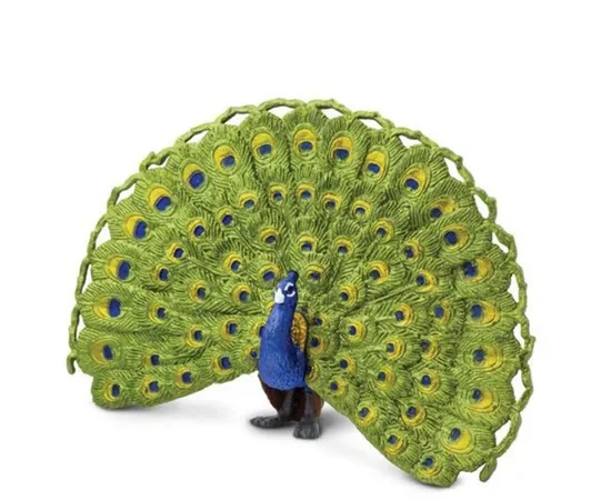 SAFARI PEACOCK