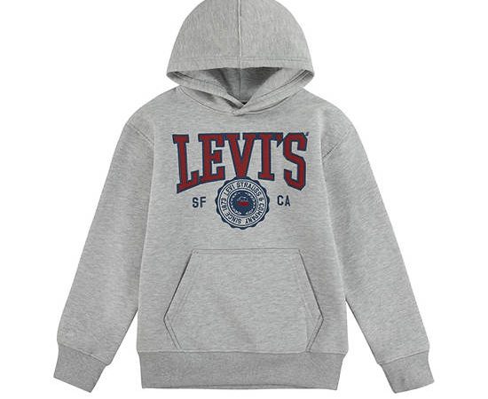 LEVI'S KIDS Boy Hoodie Sporty Grey Heather