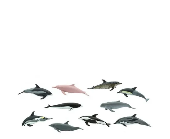 SAFARI DOLPHINS