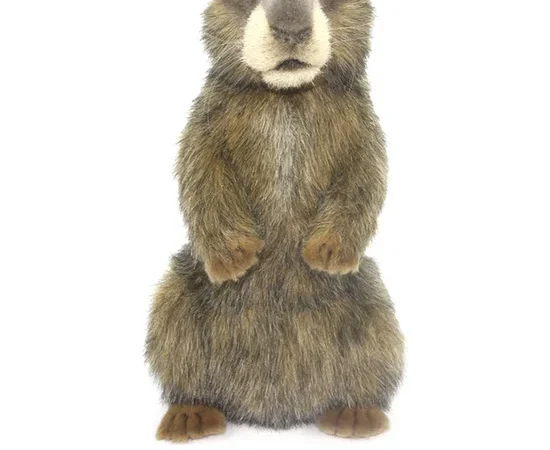 HANSA Alpine Marmot Doll 8101 Multi-Color