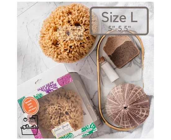 Kalla Sponge Sponge Honeycomb 12 Natural Yellow Size L